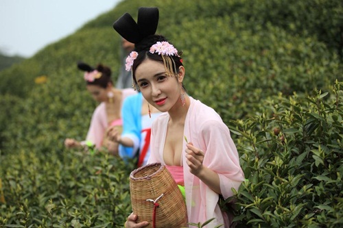 Thiếu nữ Trung Quốc ăn mặc nóng bỏng đi hái trà - 3