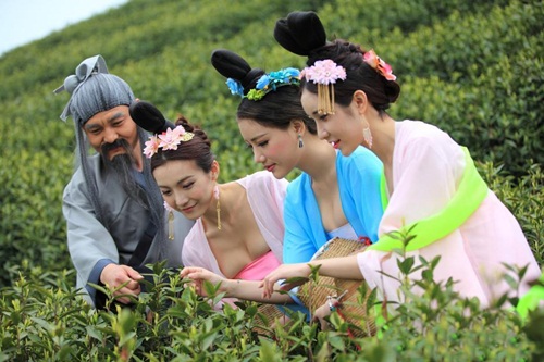 Thiếu nữ Trung Quốc ăn mặc nóng bỏng đi hái trà - 4